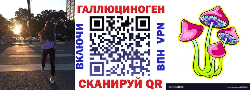 Купить где  Клин  Псилоцибиновые грибы MAGIC MUSHROOMS 