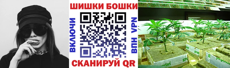 Каннабис конопля  Купить где  Клин 