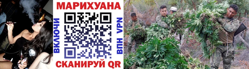 Бошки марихуана ГИДРОПОН Клин